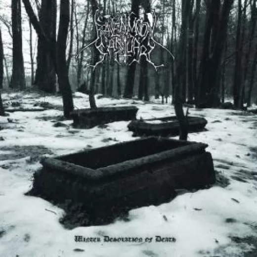 Ravenmoon Sanctuary - Winter Desolation of Death (CD)