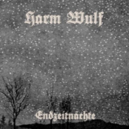 Harm Wulf - Endzeitnächte (CD)