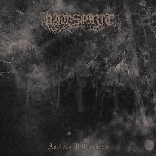 Hatespirit - Ageless Wilderness (LP)