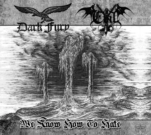 Dark Fury / Evil - We know how to hate (CD)