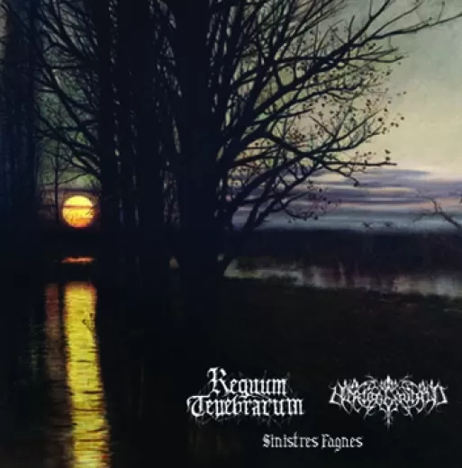 Regnum Tenebrarum / Hertogenwald - SplitLP