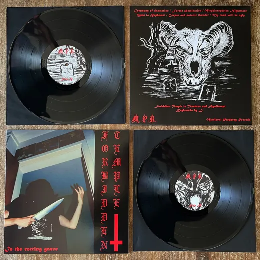 Forbidden Temple - In the rotting Grave (LP)