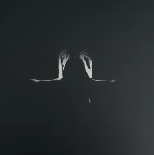 Jammerskrik - Innlemmet I Mørke (LP)