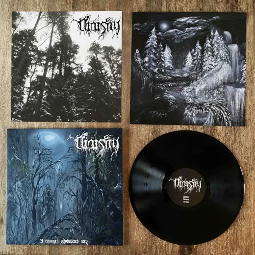 Niaisny - U Ciomnych Palotniscach (LP)
