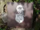 Circle of Dawn - Northern Savonian Black Metal (LP)