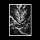 Odious Devotion - s/t (CD)