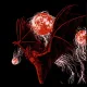 Risperidonia / Misanthropic Imperium - Blind Legions (CD)