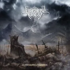 Ethereal Forest - Across the Pagan Labyrinth (CD)