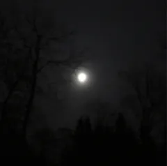 Aiwīgaz Unðergangaz - Forsortnet (LP)