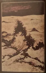 Iætun - Eitrkvikja (CS)