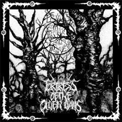 Fortress of the Olden Days / Harm Wulf - SplitEP