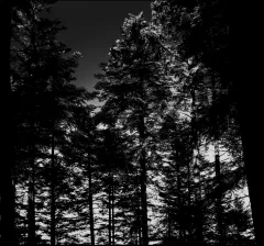 Sacrificia Mortuorum - En Offrande (CD)