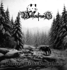 Wolfenburg - Poprzez Mroki Przeszlosci (CD)