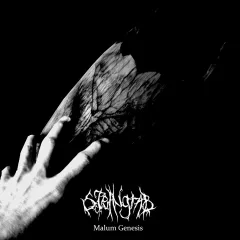 Steingrab - Malum Genesis (CD)
